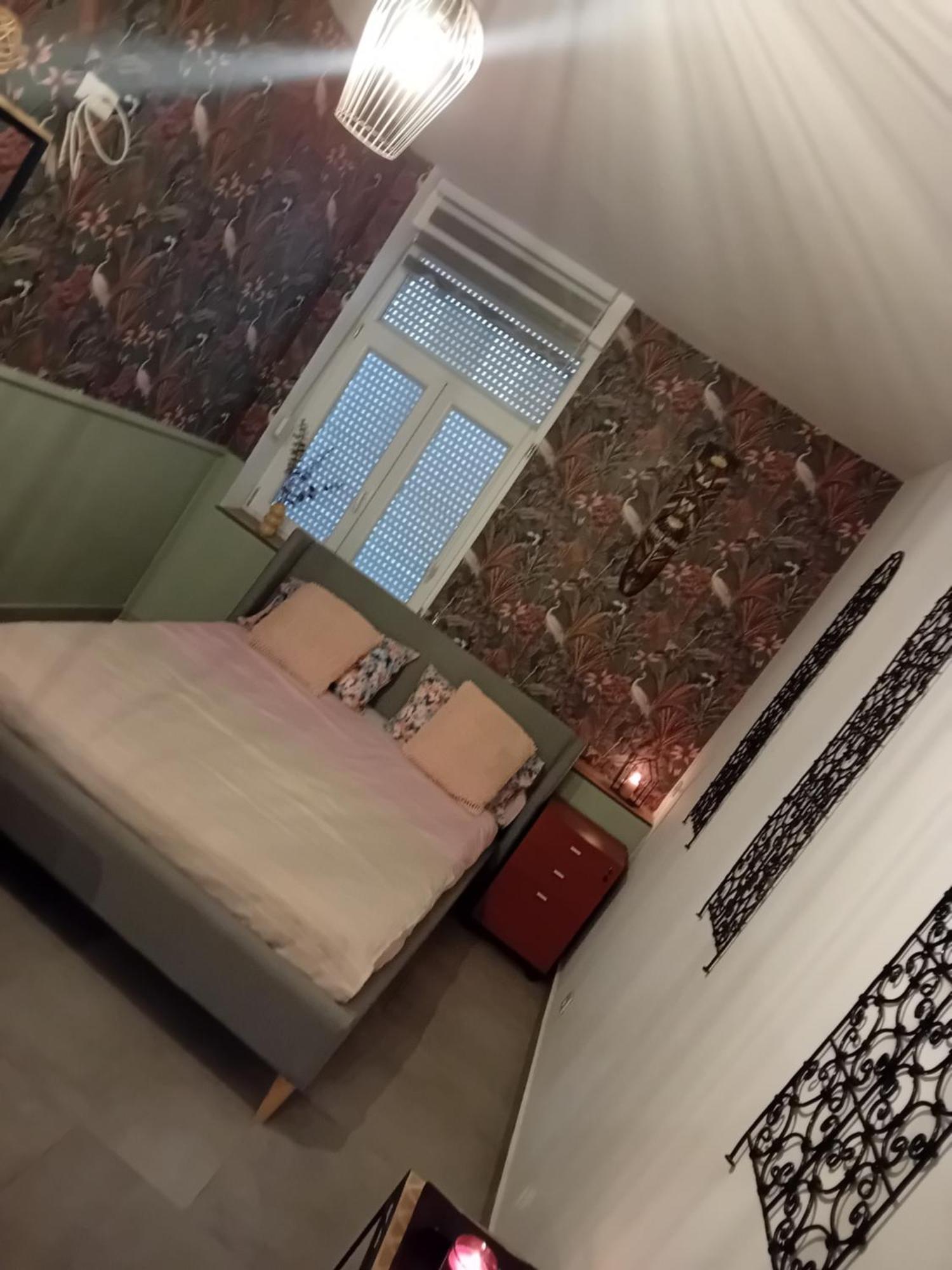 Studio Meuble 4Km Aeroport 沙勒罗瓦 外观 照片